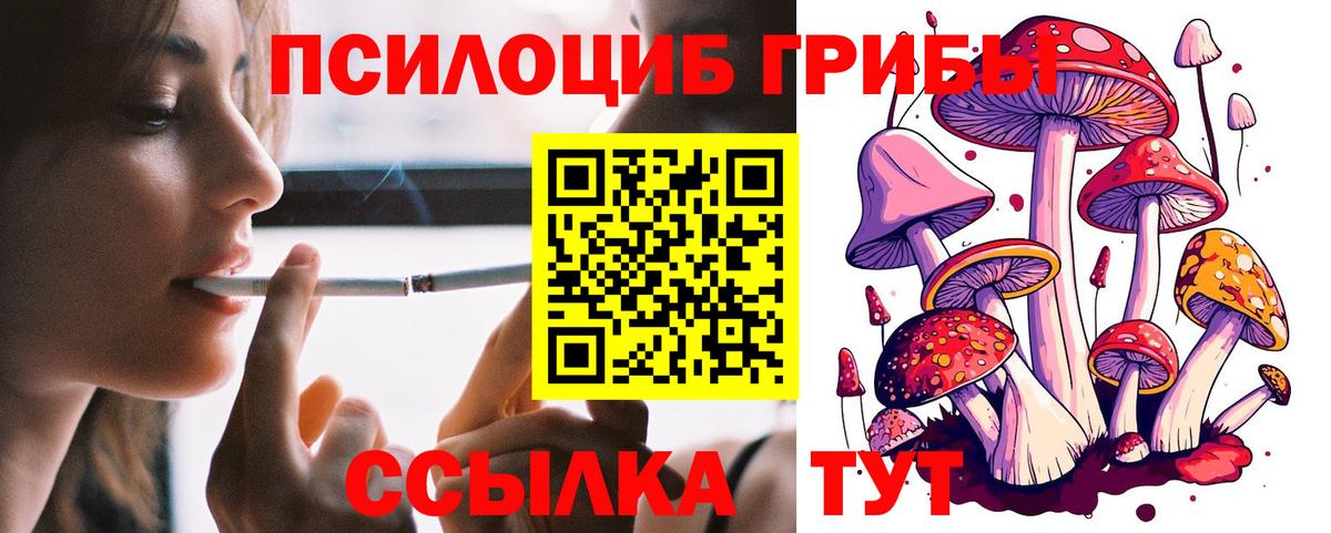 ГАШИШ  Вход с VPN  ГАШ  Меф   Урус-Мартан  МЕФ  Канабис  A-PVP СК  